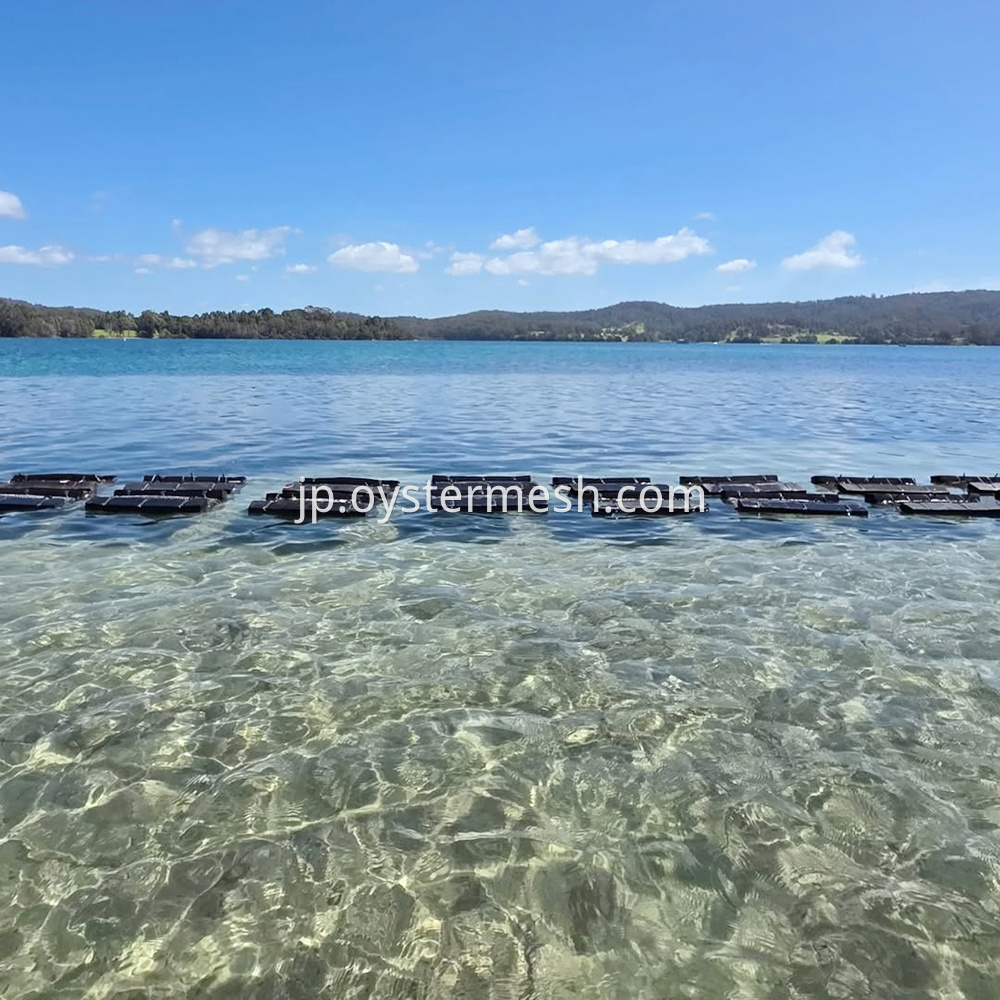 牡蠣浮きかご Oyster Floating Cages